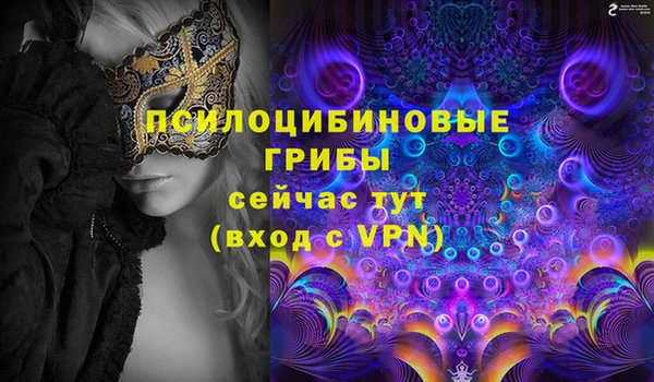 ALPHA PVP Инсар