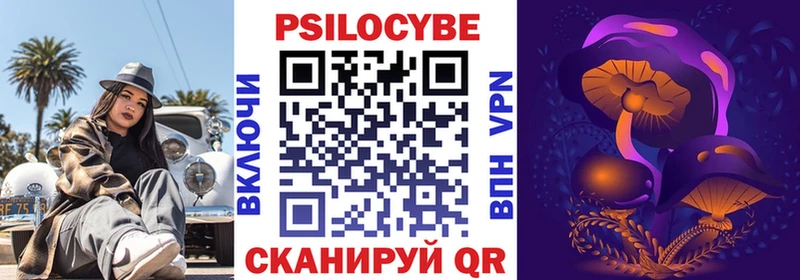 Галлюциногенные грибы Cubensis  Купить где  Звенигород 